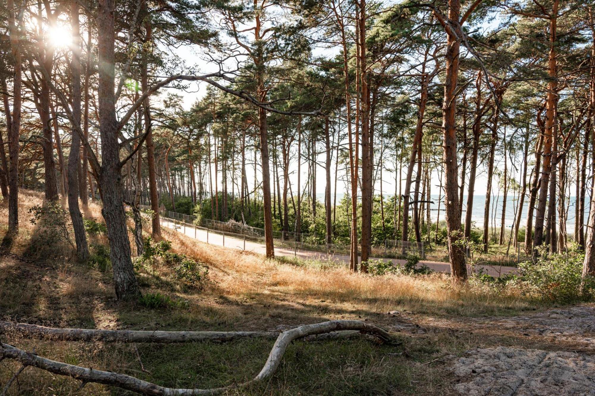 Neptuno Resort & Spa Дзвижино Экстерьер фото